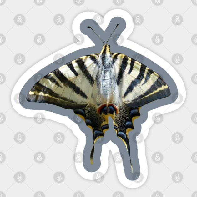 Papilio Machaon Common Yellow Swallowtail Cut Out Sticker by taiche